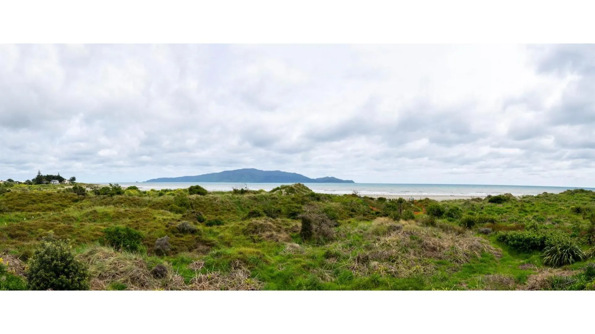 Hornbill Nest - Waikanae Beach Holiday Home